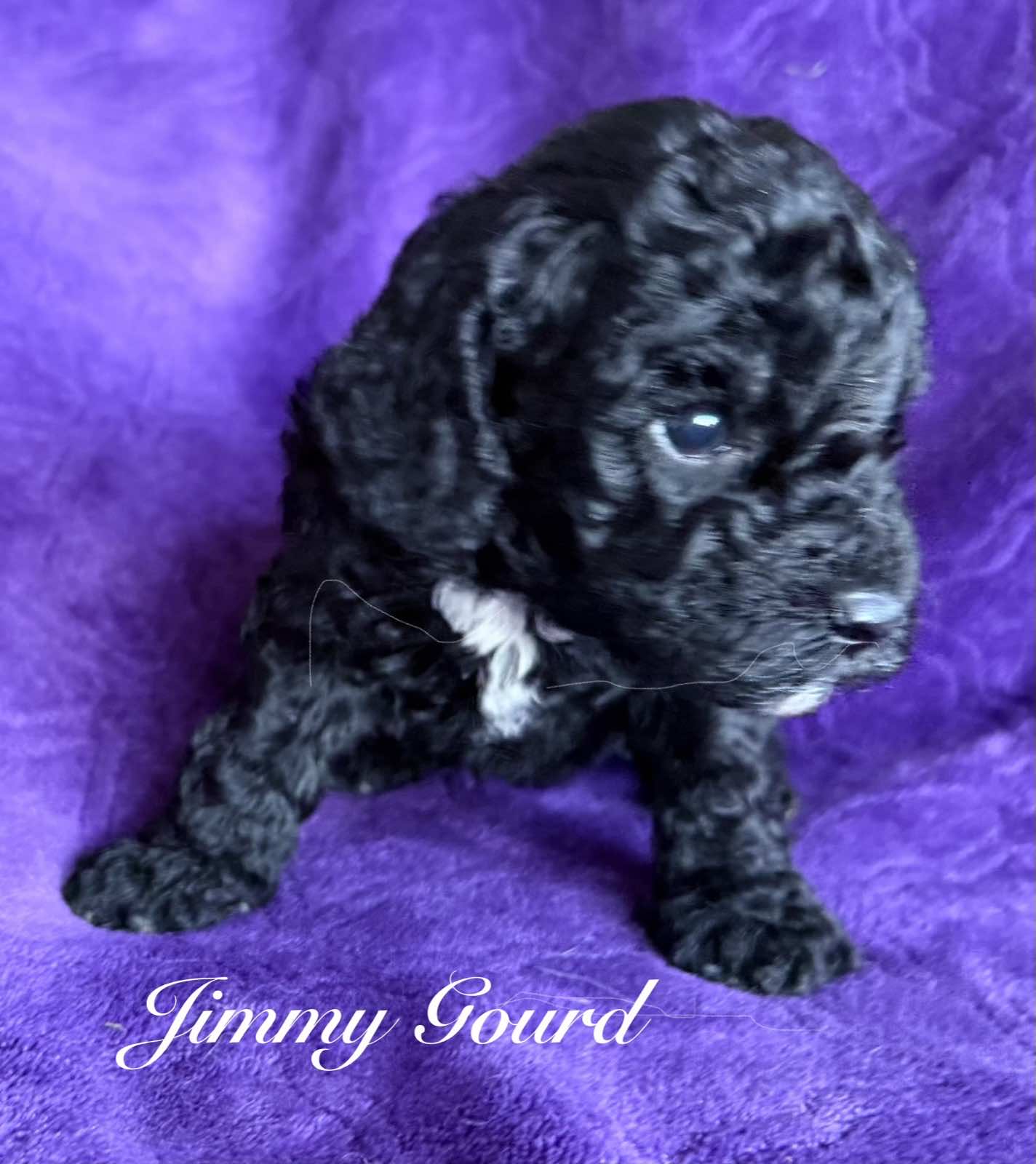 Reserve Me Today πΎ