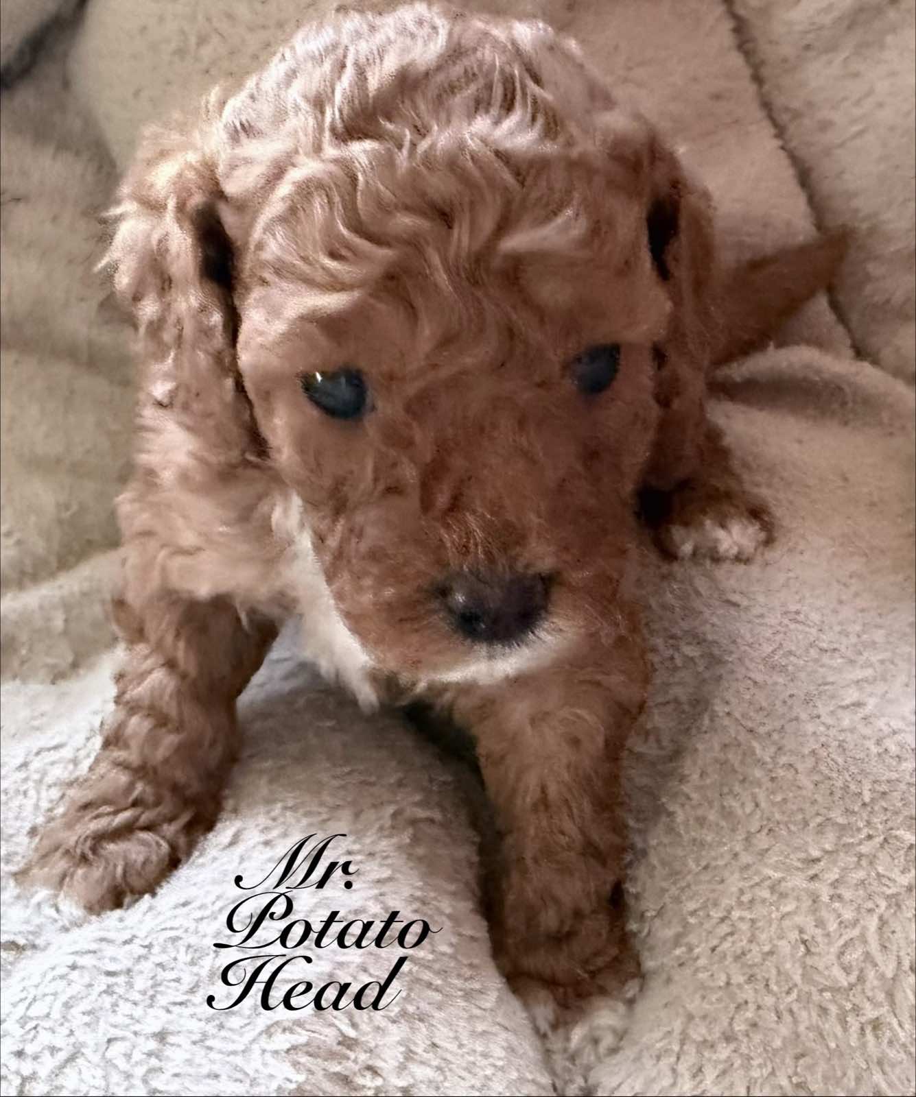 Reserve Me Today πΎ